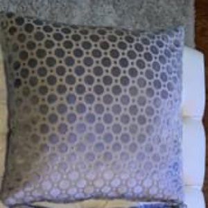 Set of 2 Gray pillows